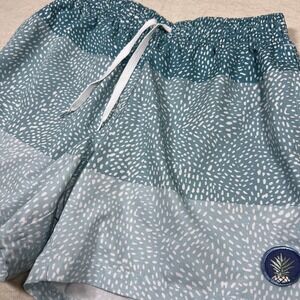 Chubbies Swim Shorts‎ Mens Medium Blue Teal Pineapple Patch Drawstring